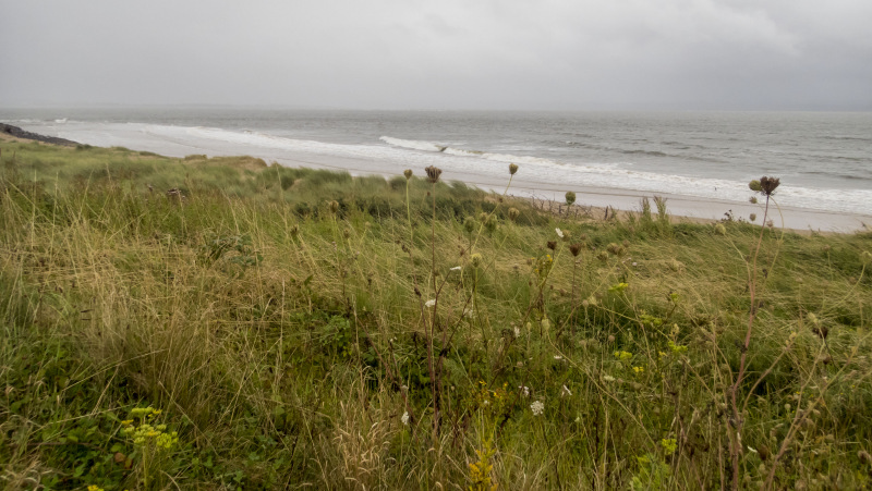 Photograph of Walking Route - Image 8