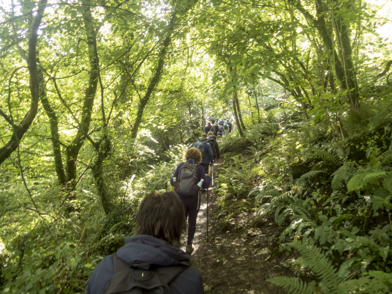 Photograph of Walking Route - Image 4