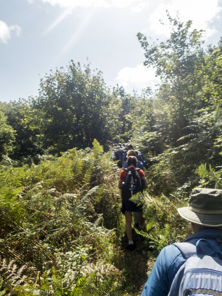 Photograph of Walking Route - Image 6