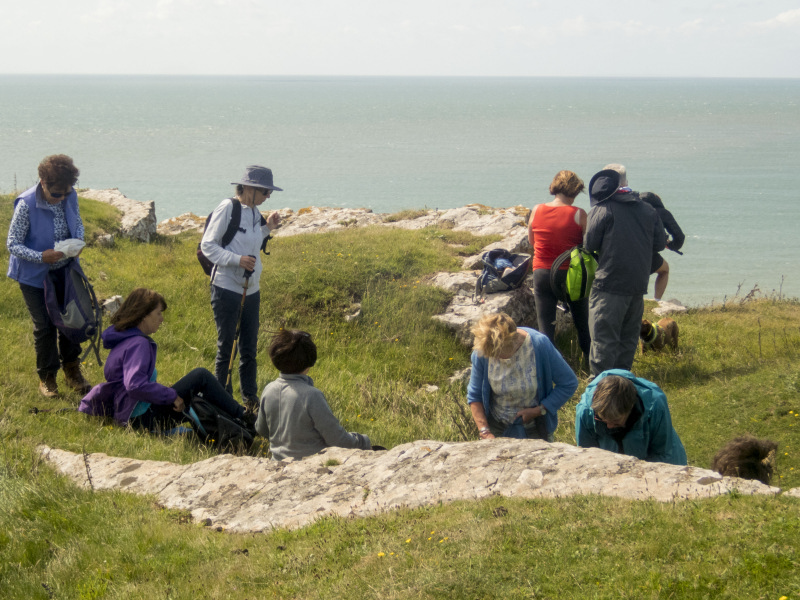 Photograph of Walking Route - Image 11