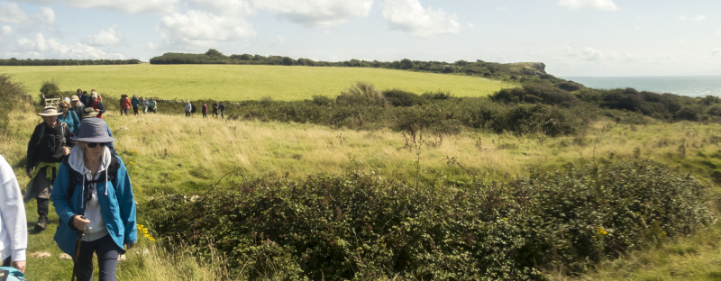 Photograph of Walking Route - Image 17