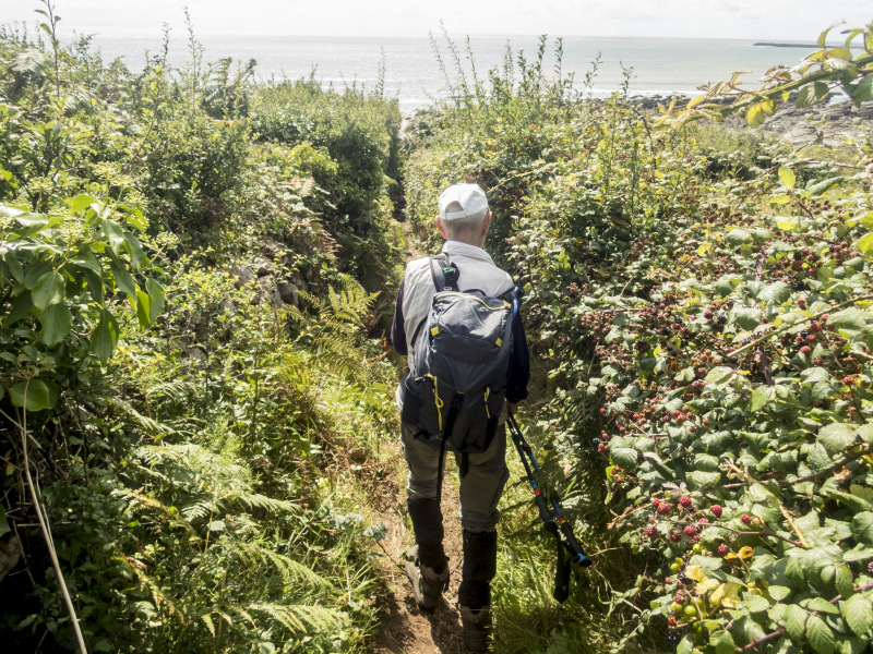 Photograph of Walking Route - Image 18