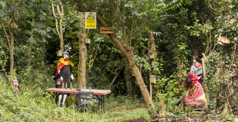 Photograph of Walking Route - Image 3