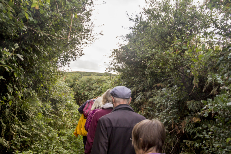 Photograph of Walking Route - Image 4