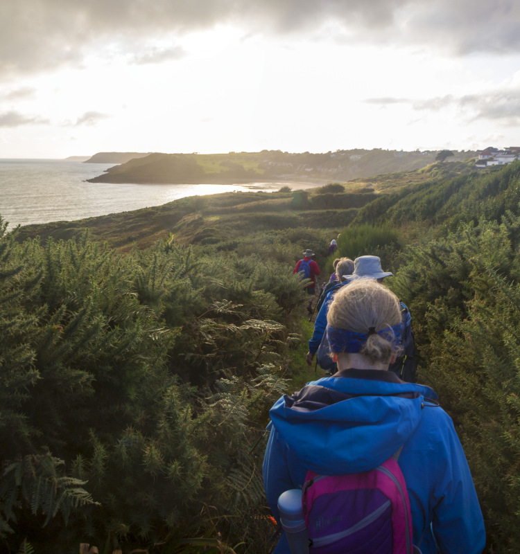 Photograph of Walking Route - Image 9