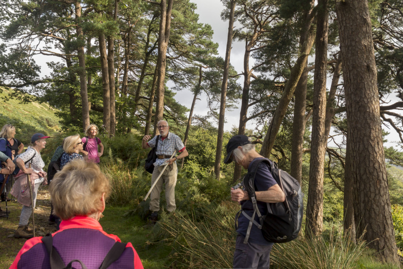 Photograph of Walking Route - Image 6