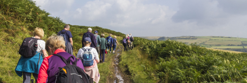 Photograph of Walking Route - Image 7