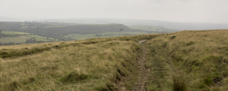 Photograph of Walking Route - Image 13