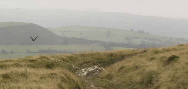 Photograph of Walking Route - Image 14