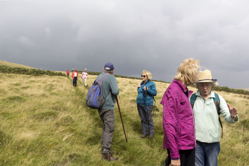 Photograph of Walking Route - Image 15