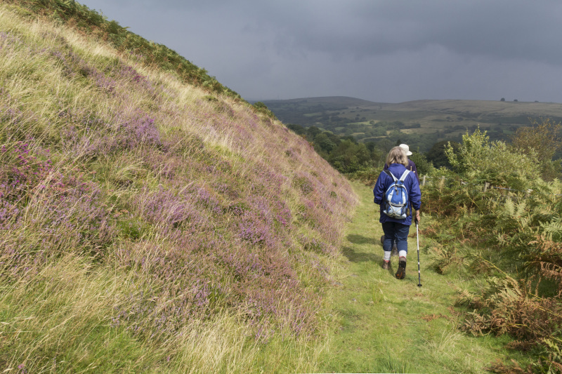 Photograph of Walking Route - Image 21