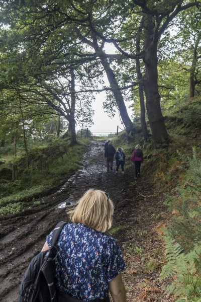 Photograph of Walking Route - Image 22