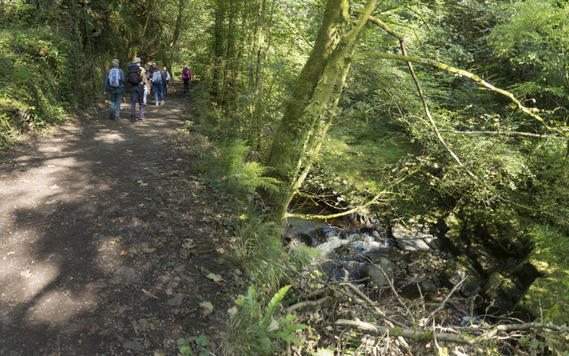 Photograph of Walking Route - Image 4