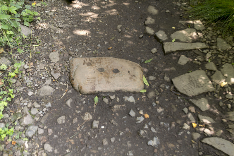 Photograph of Walking Route - Image 5