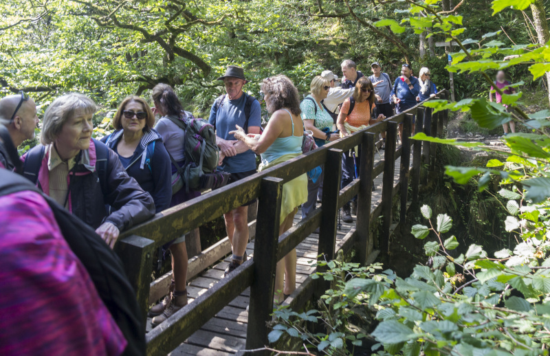 Photograph of Walking Route - Image 6