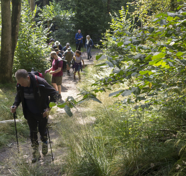 Photograph of Walking Route - Image 12