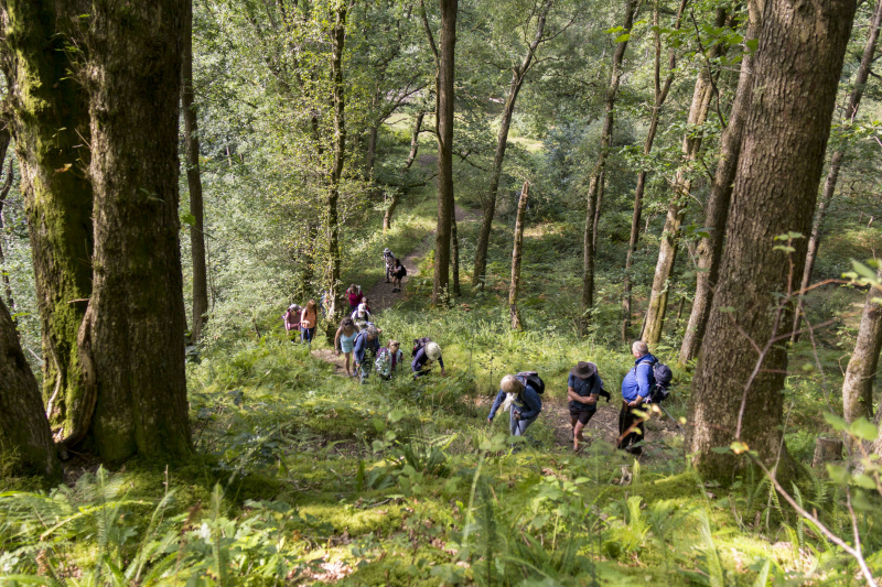 Photograph of Walking Route - Image 13