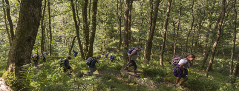 Photograph of Walking Route - Image 14