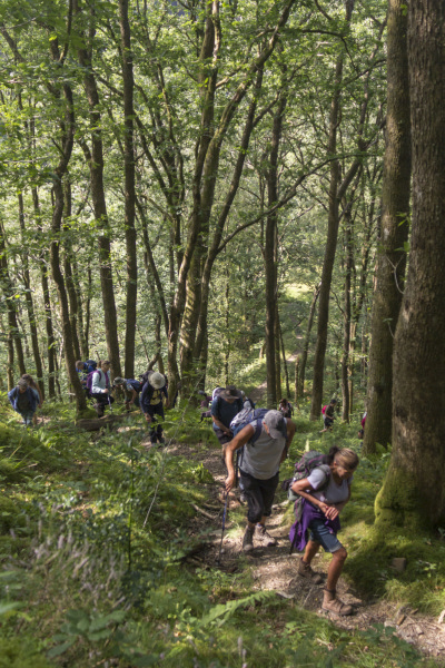 Photograph of Walking Route - Image 16