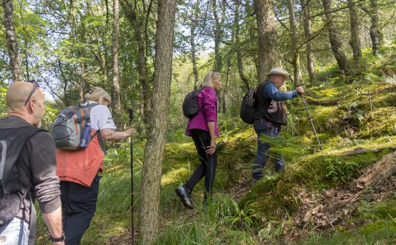 Photograph of Walking Route - Image 17