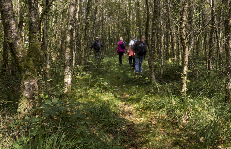 Photograph of Walking Route - Image 18
