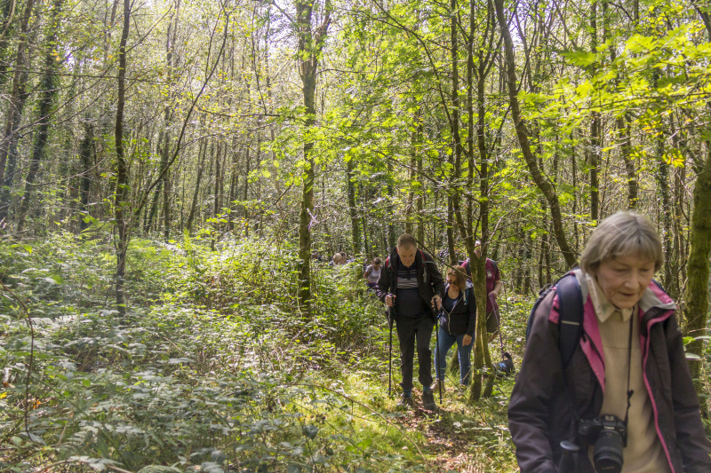 Photograph of Walking Route - Image 19