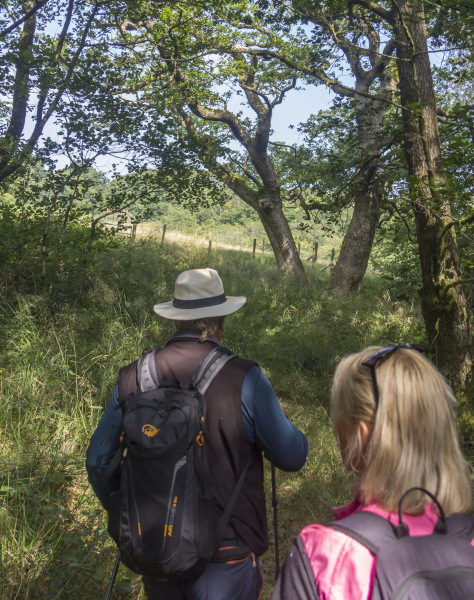Photograph of Walking Route - Image 21