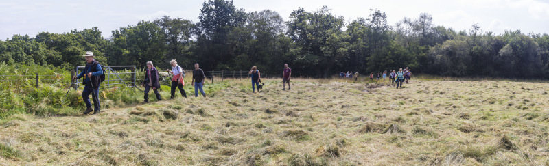 Photograph of Walking Route - Image 23