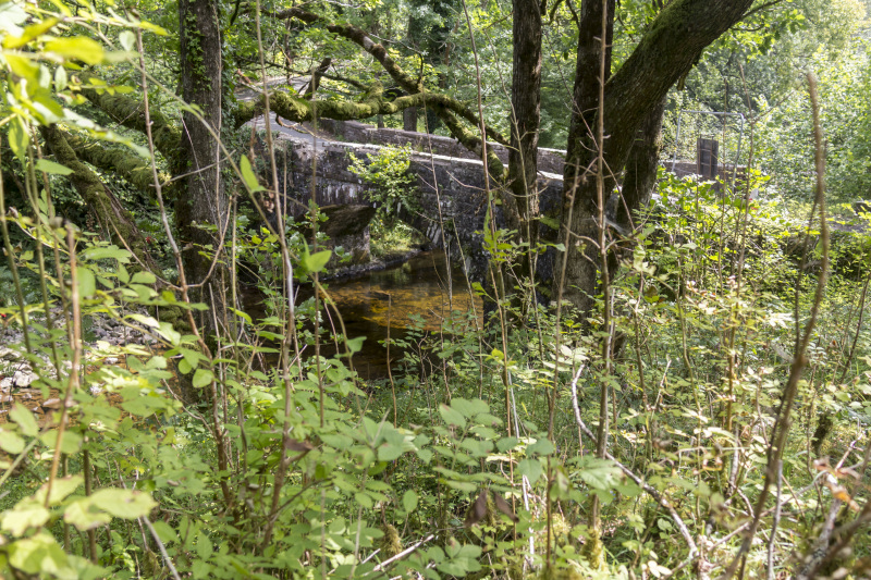 Photograph of Walking Route - Image 27