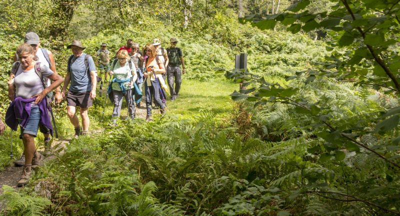 Photograph of Walking Route - Image 31