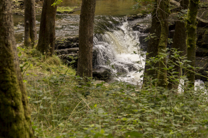 Photograph of Walking Route - Image 32