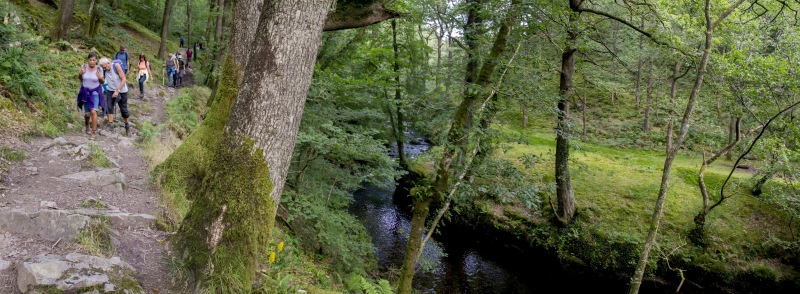 Photograph of Walking Route - Image 34