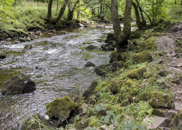 Photograph of Walking Route - Image 36