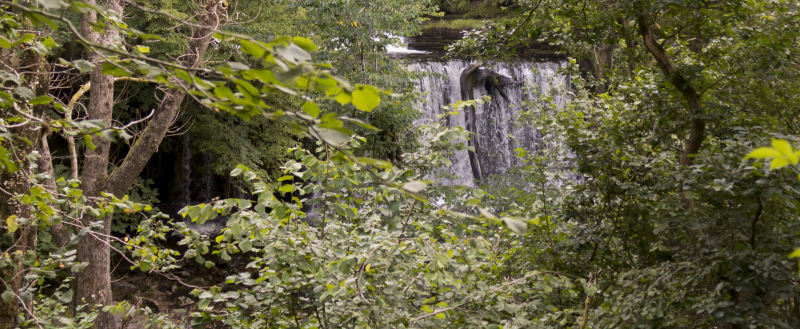 Photograph of Walking Route - Image 39