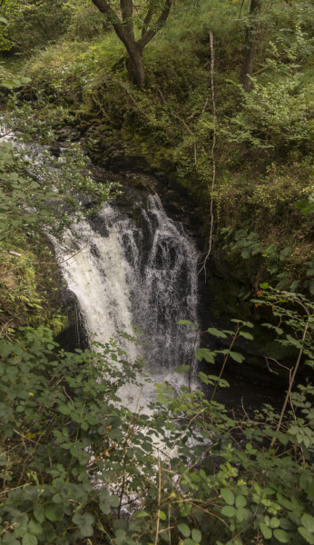 Photograph of Walking Route - Image 40