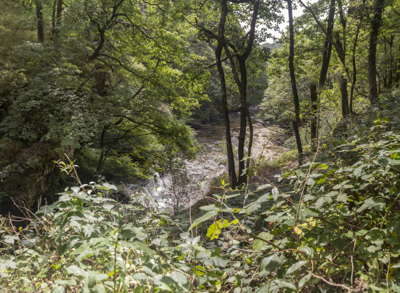 Photograph of Walking Route - Image 41