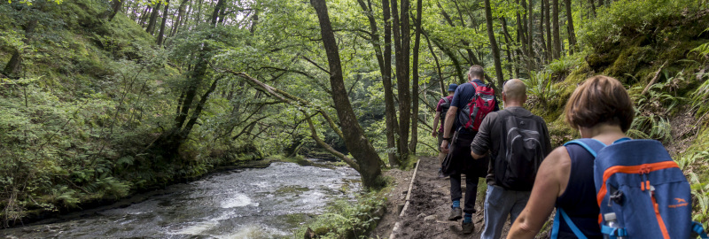 Photograph of Walking Route - Image 52
