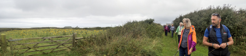 Photograph of Walking Route - Image 3