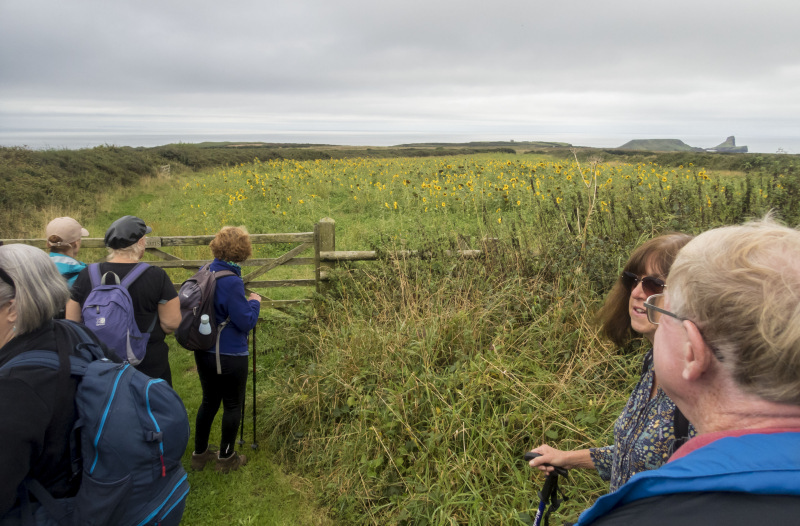 Photograph of Walking Route - Image 4