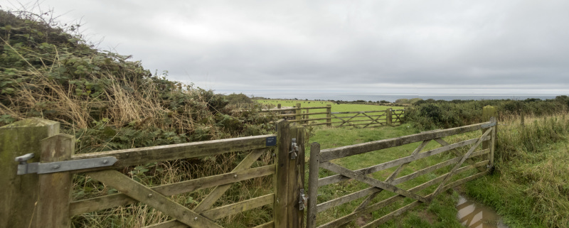 Photograph of Walking Route - Image 5