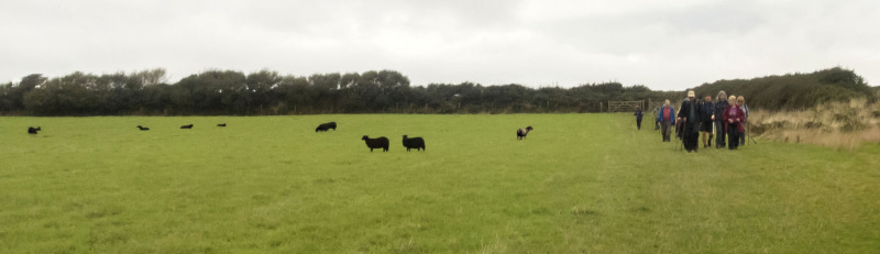 Photograph of Walking Route - Image 6