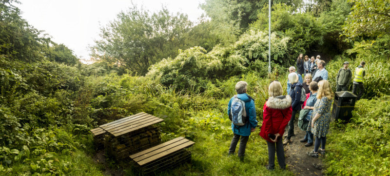 Photograph of Walking Route - Image 17
