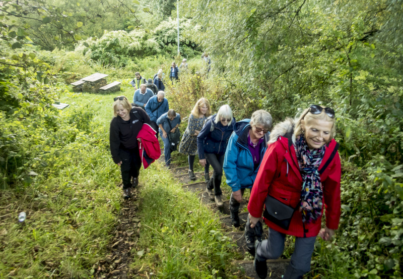 Photograph of Walking Route - Image 18
