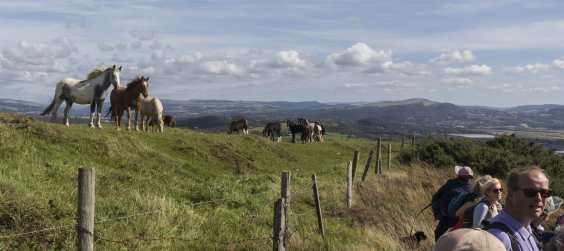 Photograph of Walking Route - Image 14