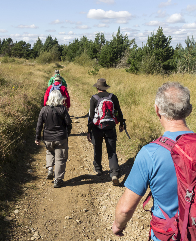 Photograph of Walking Route - Image 22