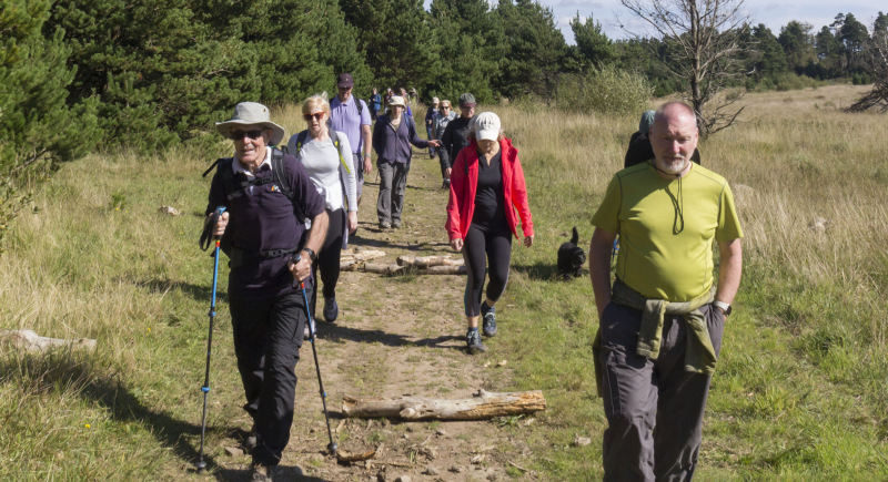 Photograph of Walking Route - Image 23