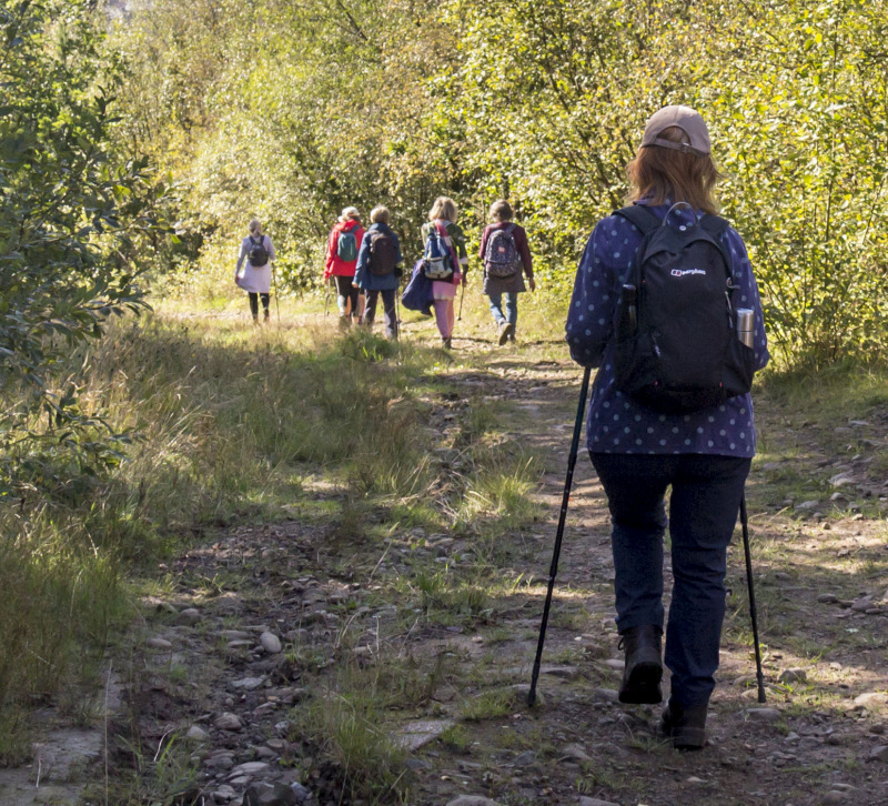 Photograph of Walking Route - Image 28