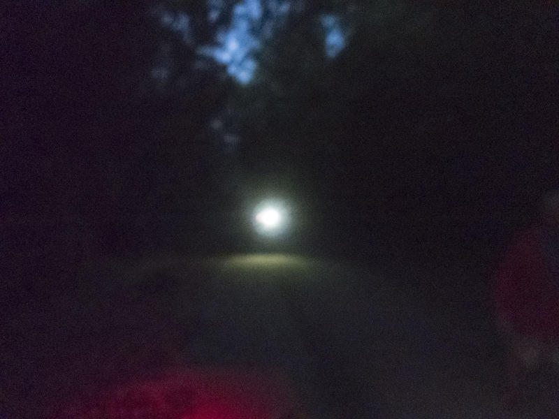 Photograph of Walking Route - Image 17