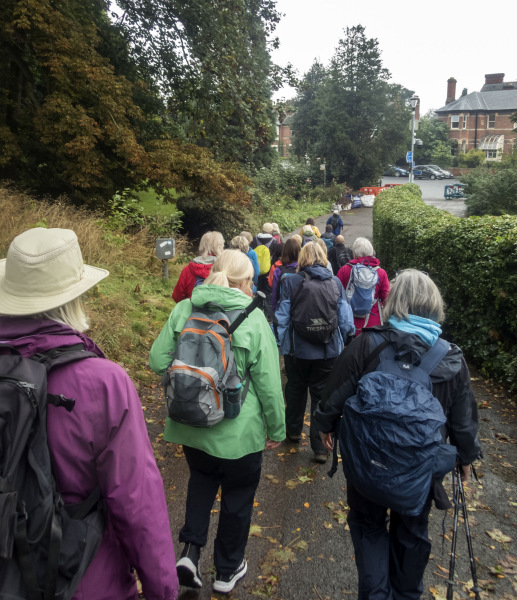 Photograph of Walking Route - Image 11
