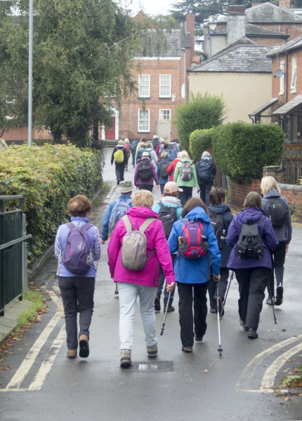 Photograph of Walking Route - Image 18